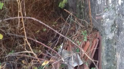 17692571006974b88c2e0f8