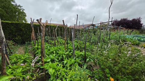 17692674696974e10d2aa5f