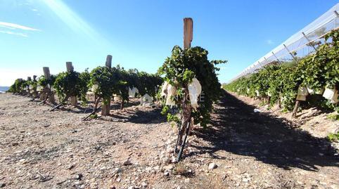 1769276095697502bf2eb94