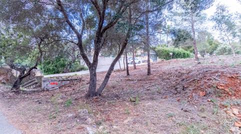 17692765546975048aaf7bc