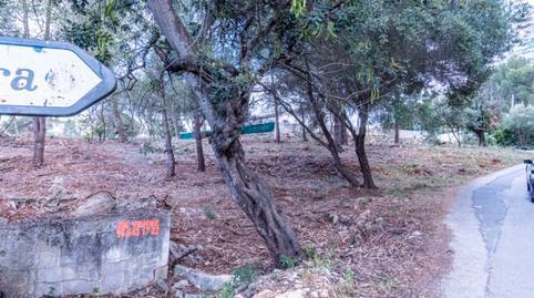 17692765576975048daf54b