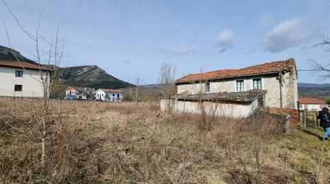 176928629469752a9681591