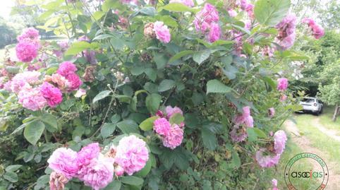 176937280669767c868a44c