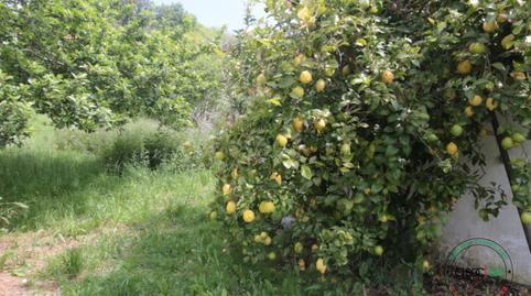 176937280769767c8781900