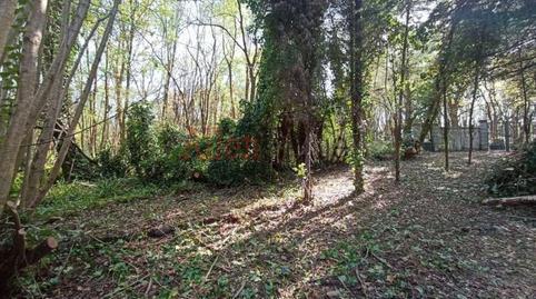 176937309669767da870818