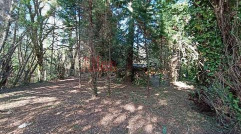 176937309869767daa66fa8