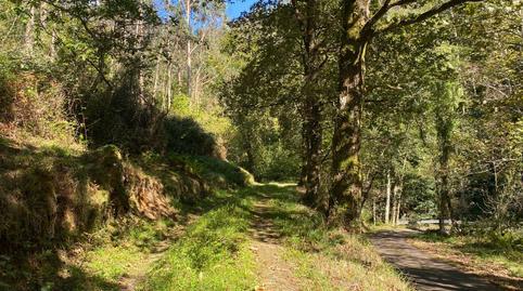 176937320669767e166d054