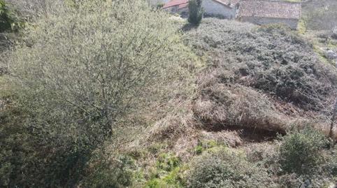 17693917086976c65c7e78d