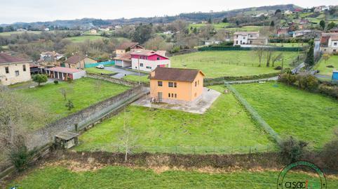 17693917506976c686d6287