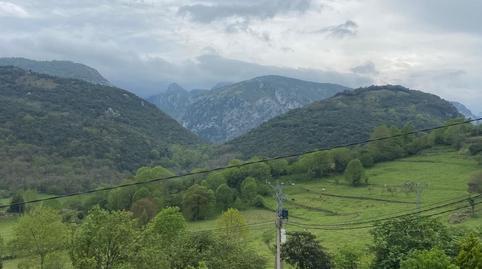 17693919326976c73caf346