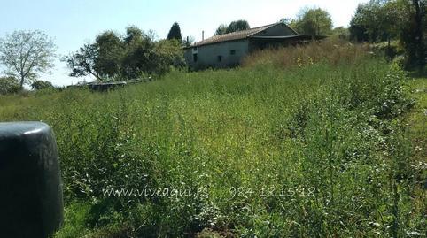 17693924126976c91c8f8ee