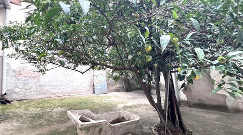 17694517236977b0cb565c6