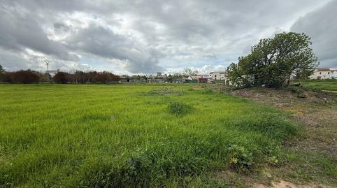 17694524046977b37450646