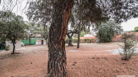 17700387596980a5e7bfcf6