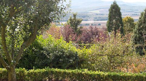 17700620826981010215445