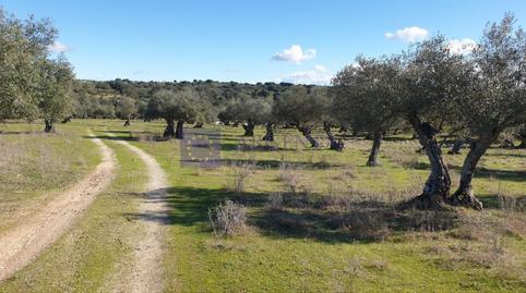 17700719536981279107c90