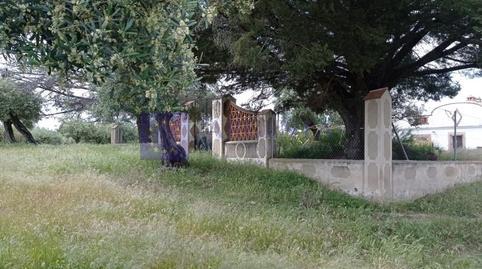 17700719546981279213638