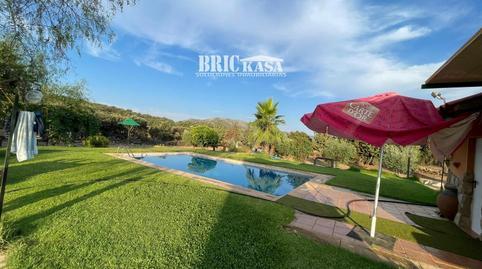 17700720866981281654e1d