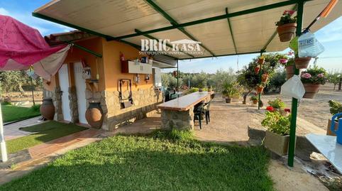 177007208969812819de6ff