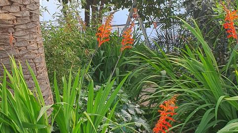 17700743966981311c97942