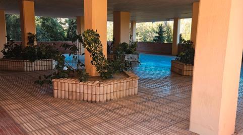 17700744136981312d849d1