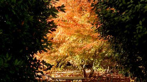 1770074587698131db4ecce