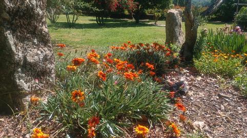 1770074588698131dc5a782