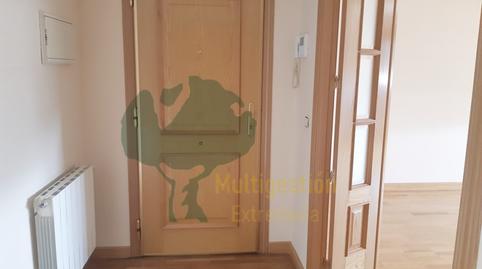 1770074999698133770a388