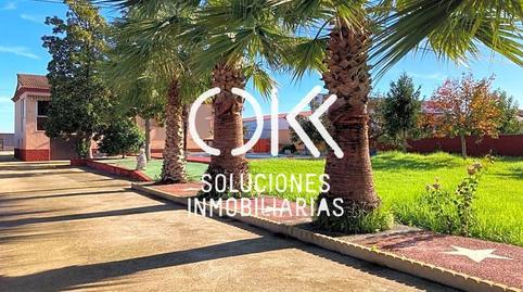 1770075103698133df47ef3