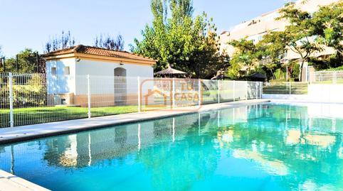 17700754576981354144cba