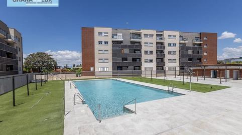 1770148607698252ffa5d1f