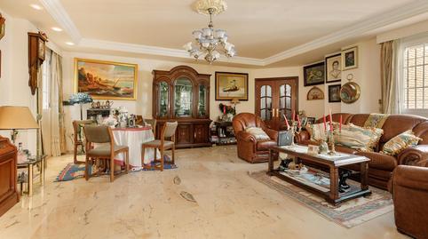 17701486616982533571a54