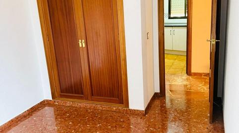 1770152880698263b0b3d87