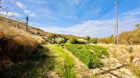 17701529896982641d5411f