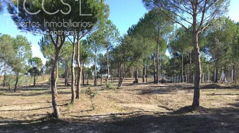 177015483669826b54551f0