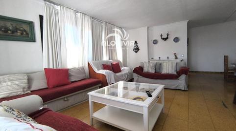 17701568846982735443c10