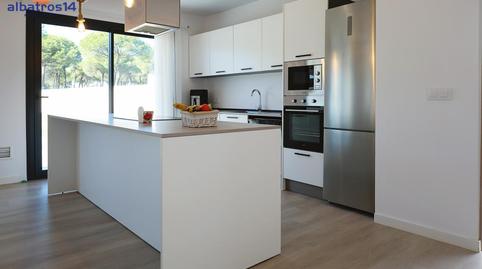 17701573286982751079558