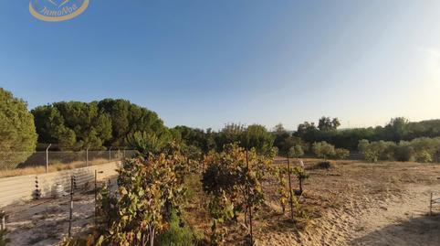 17701574686982759c24640