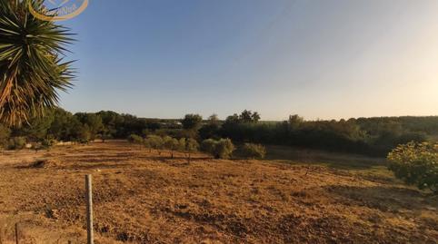 17701574696982759dc813e