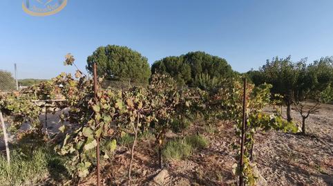 17701574716982759f6fd7d