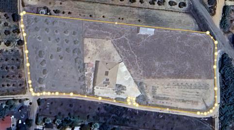 1770157525698275d54e1ff