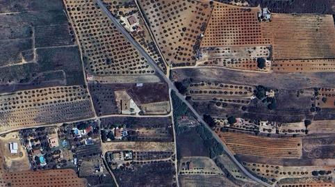 1770157526698275d6ea174