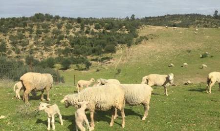 177015913469827c1e77e80