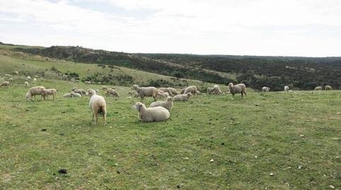 177015913769827c219690e