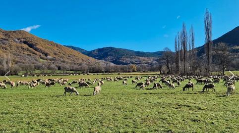 1770214078698352bec0d3a