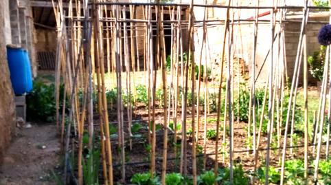 1770214214698353465071a