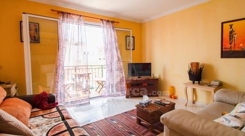 177021652869835c5017353