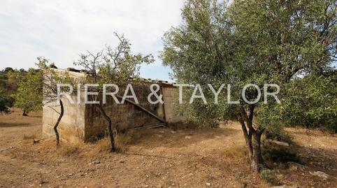 177021798769836203adde2