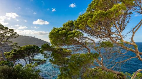 17702185636983644323343