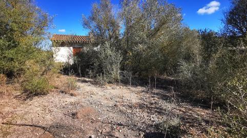 177021888469836584d88b2